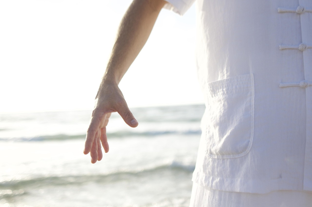 Mouvements de Tai Chi pour le Bien-Être (TMW Training®)